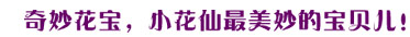 奇妙花宝标题图片